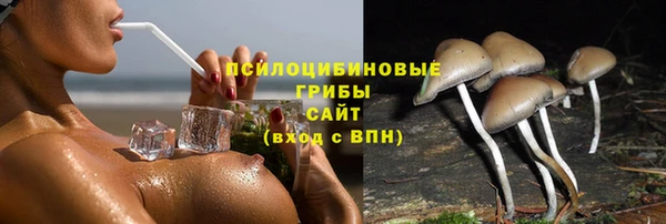 соль курить ск Алзамай
