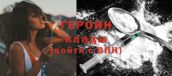 хмурый Алексин
