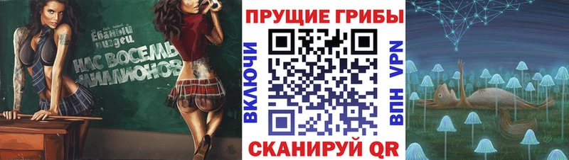 Псилоцибиновые грибы мицелий  цены   МЕГА ссылка  Камышин 