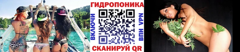 закладка Камышин Каннабис AK-47